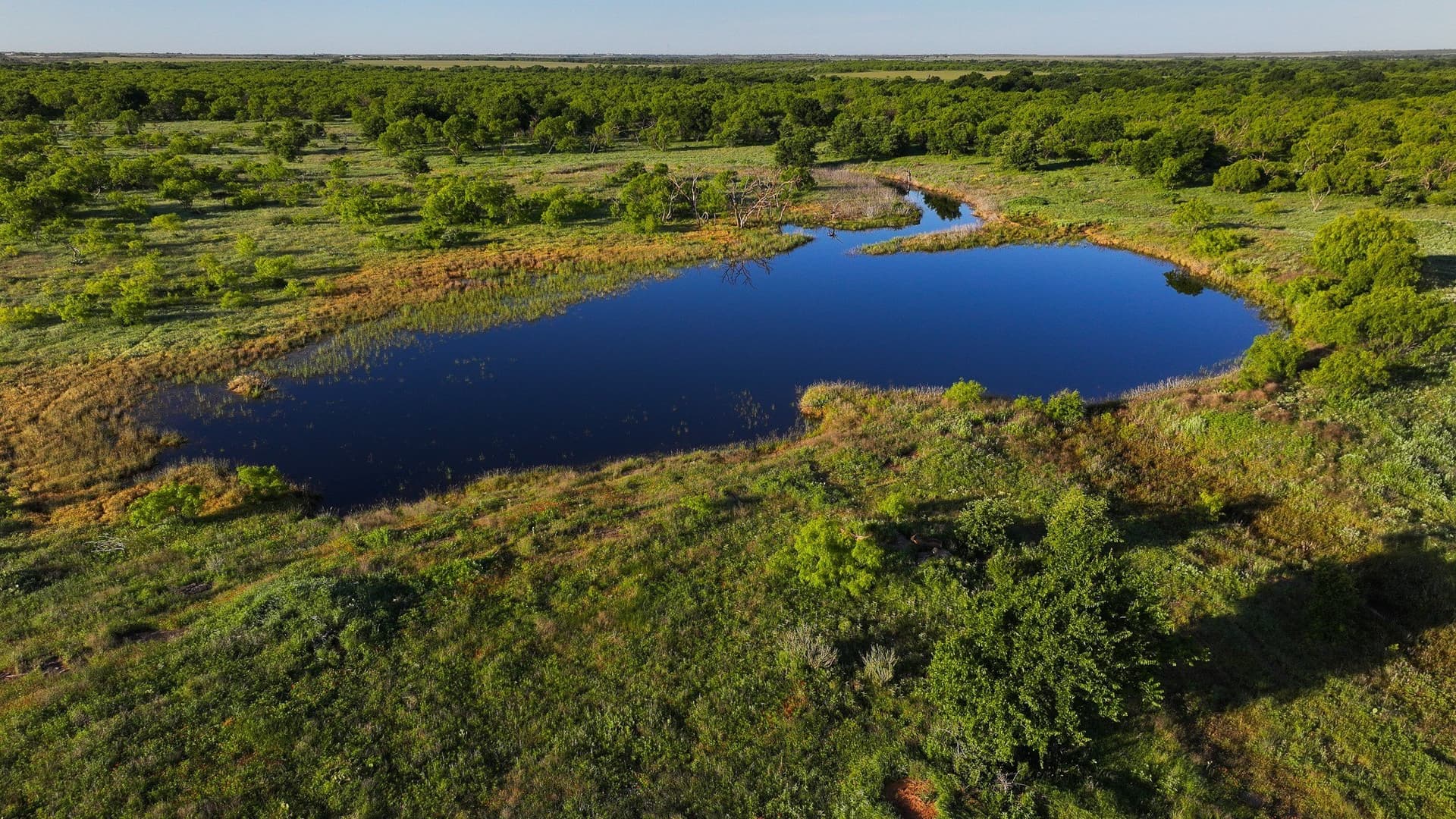 355 acres in Archer County - photo 21