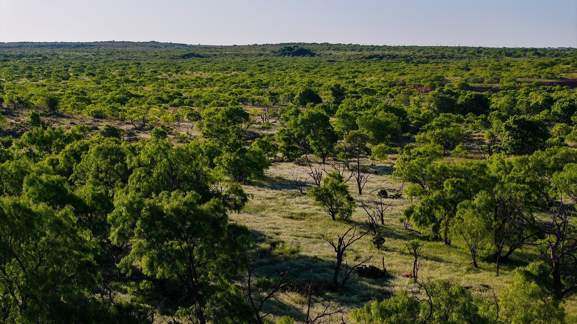 355 acres in Archer County - photo 32