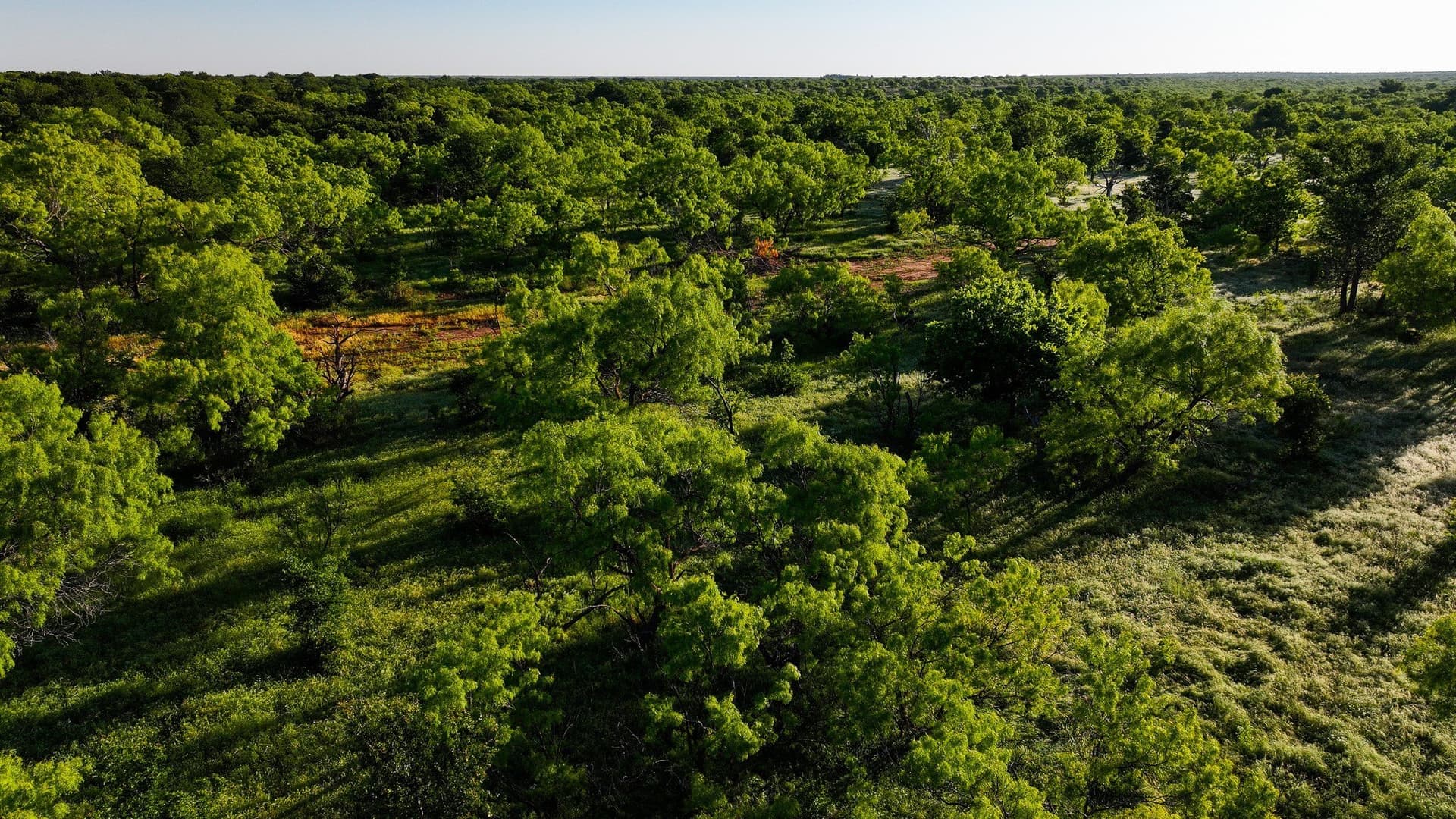 355 acres in Archer County - photo 8