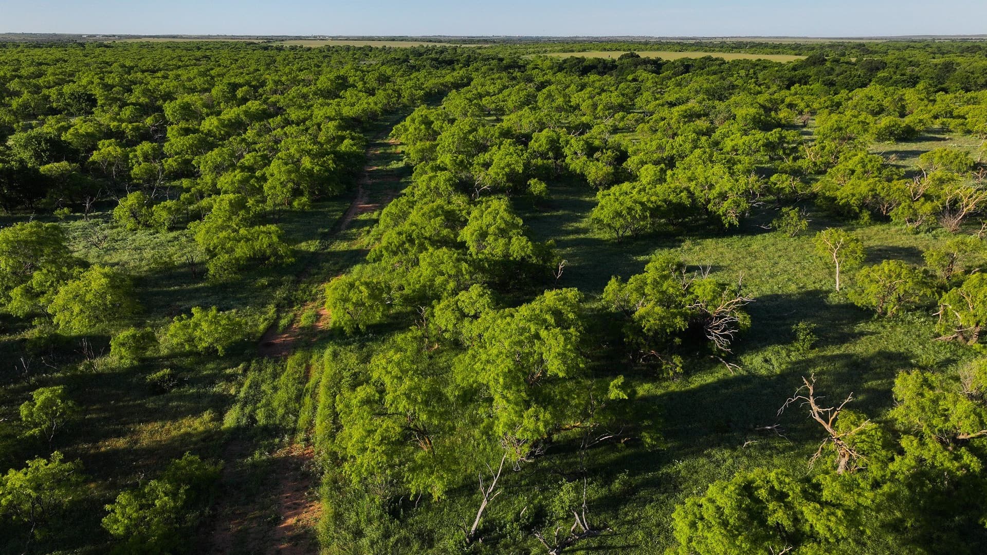355 acres in Archer County - photo 24