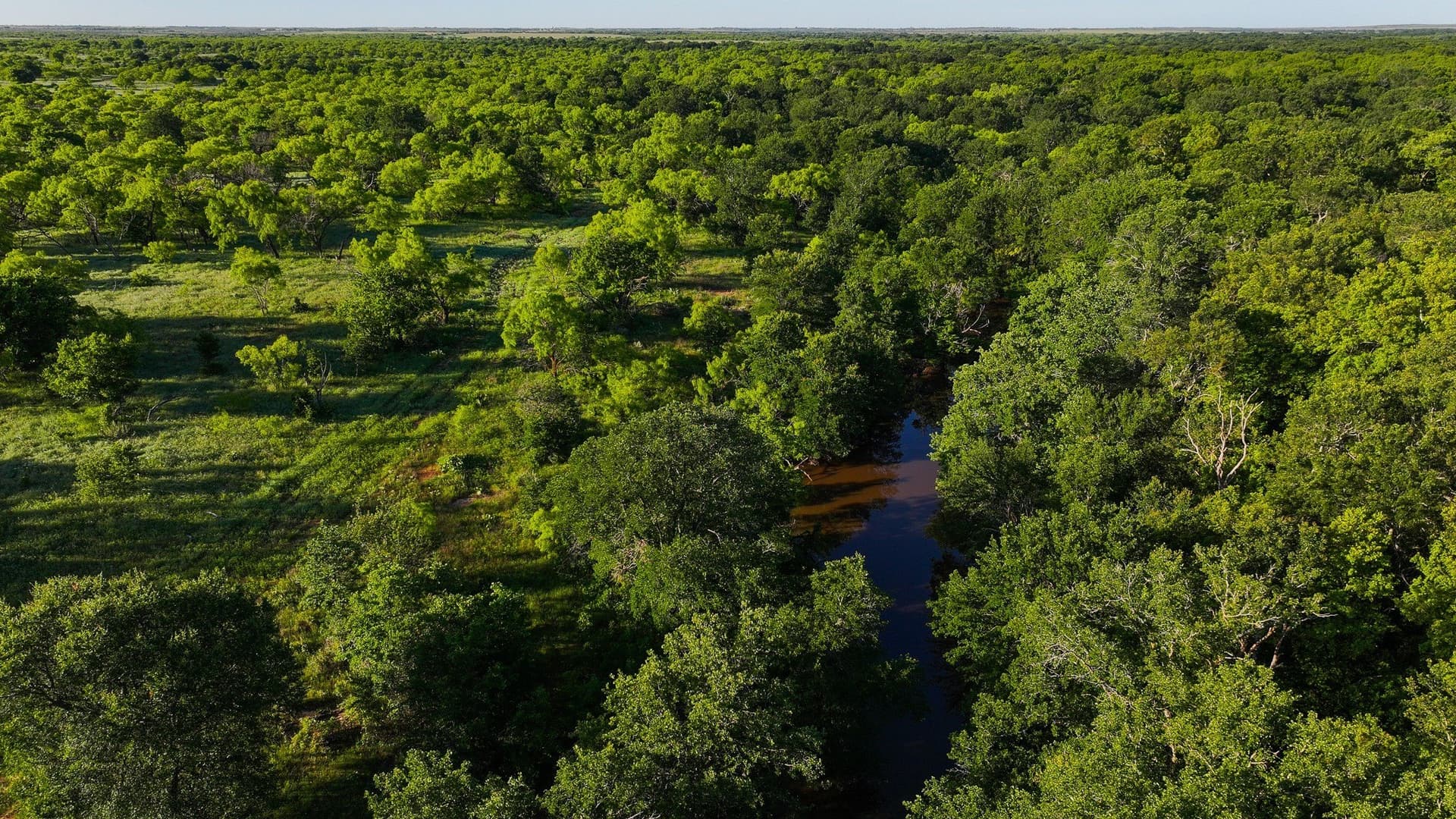 355 acres in Archer County - photo 31