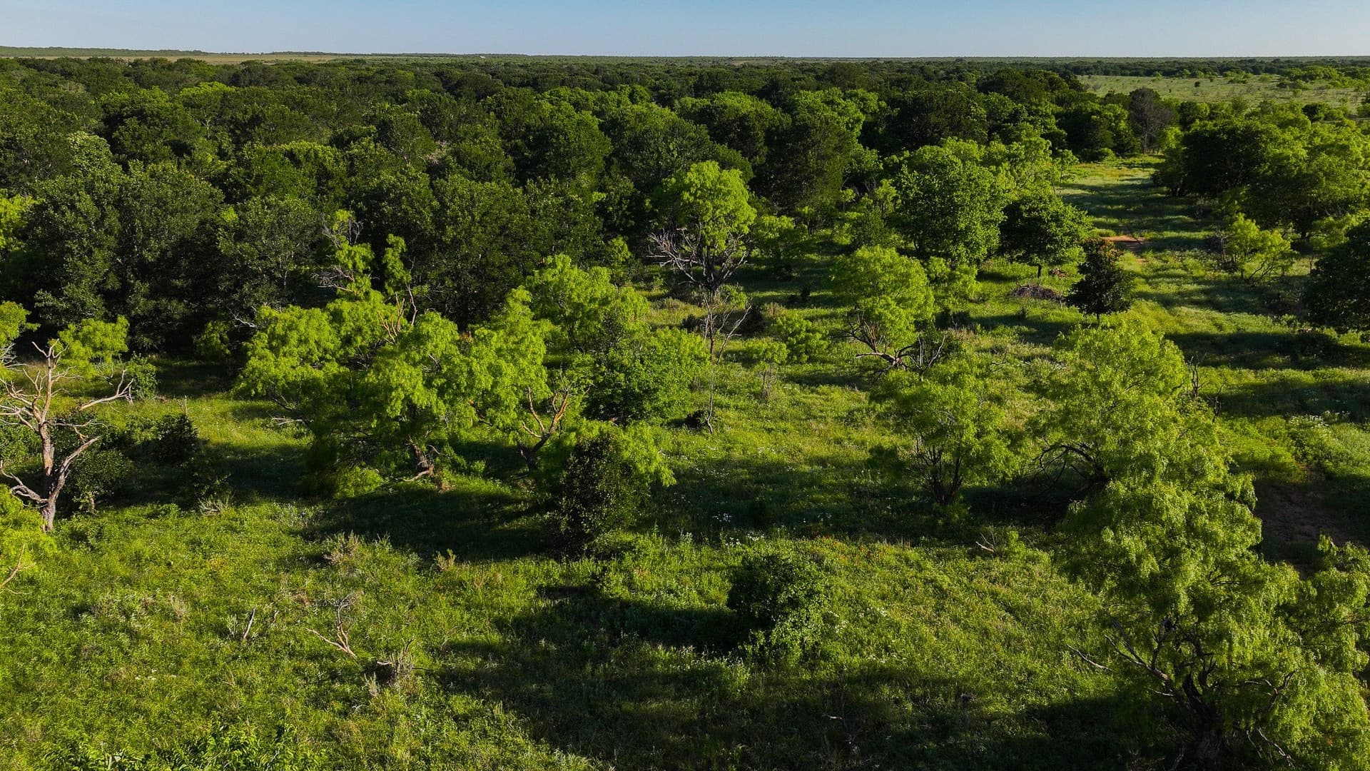 355 acres in Archer County - photo 2
