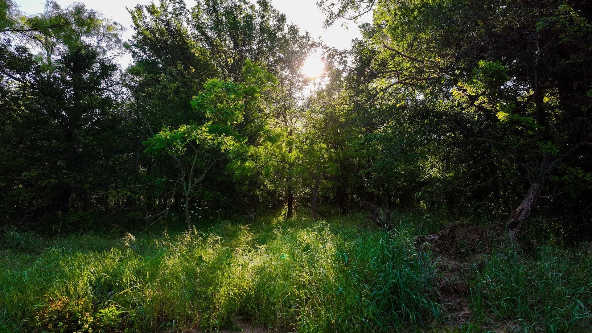 355 acres in Archer County - photo 37