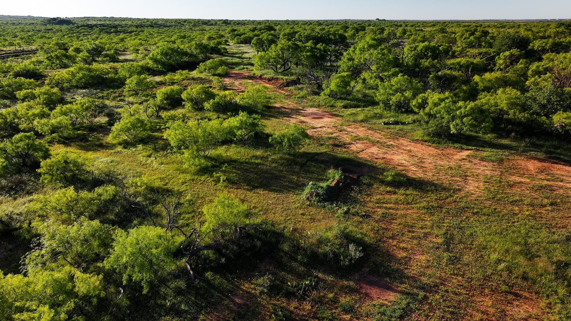 355 acres in Archer County - photo 18
