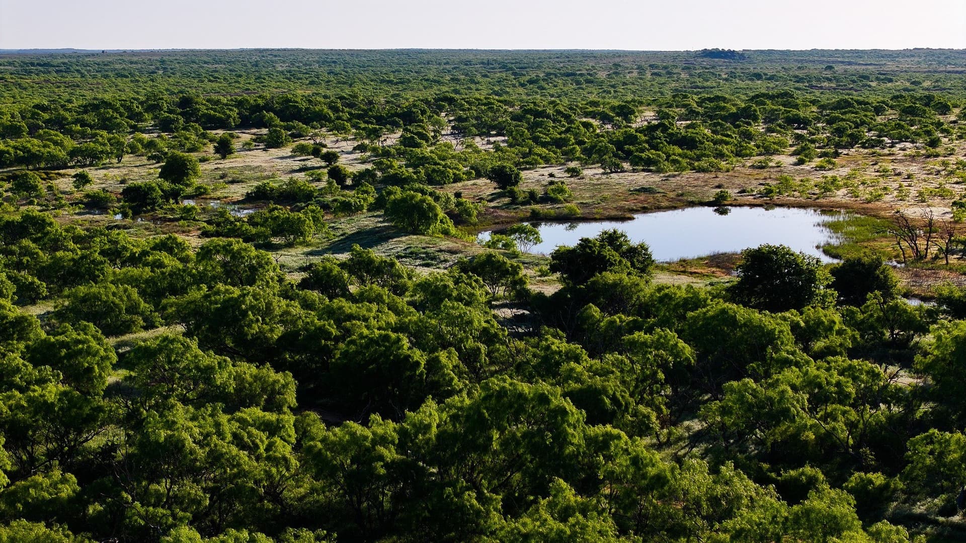 355 acres in Archer County - photo 26