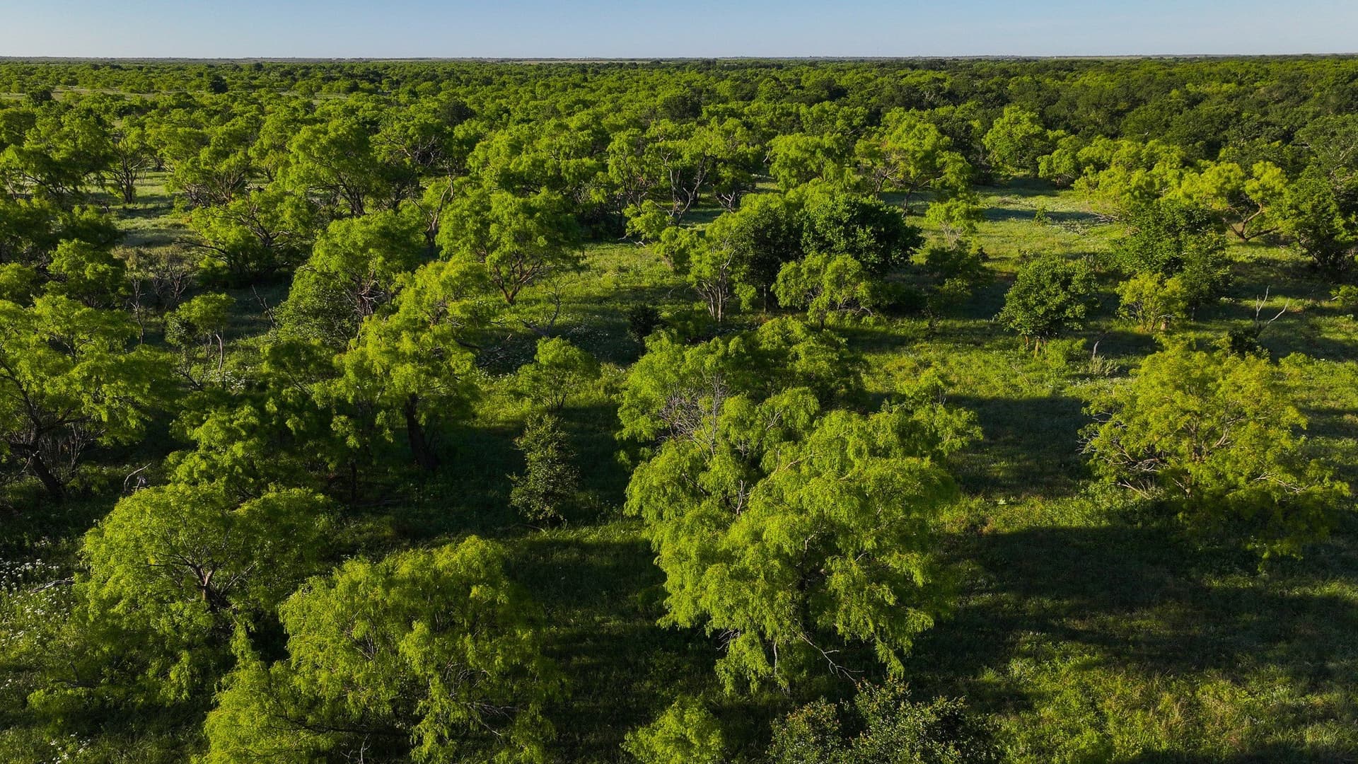 355 acres in Archer County - photo 19