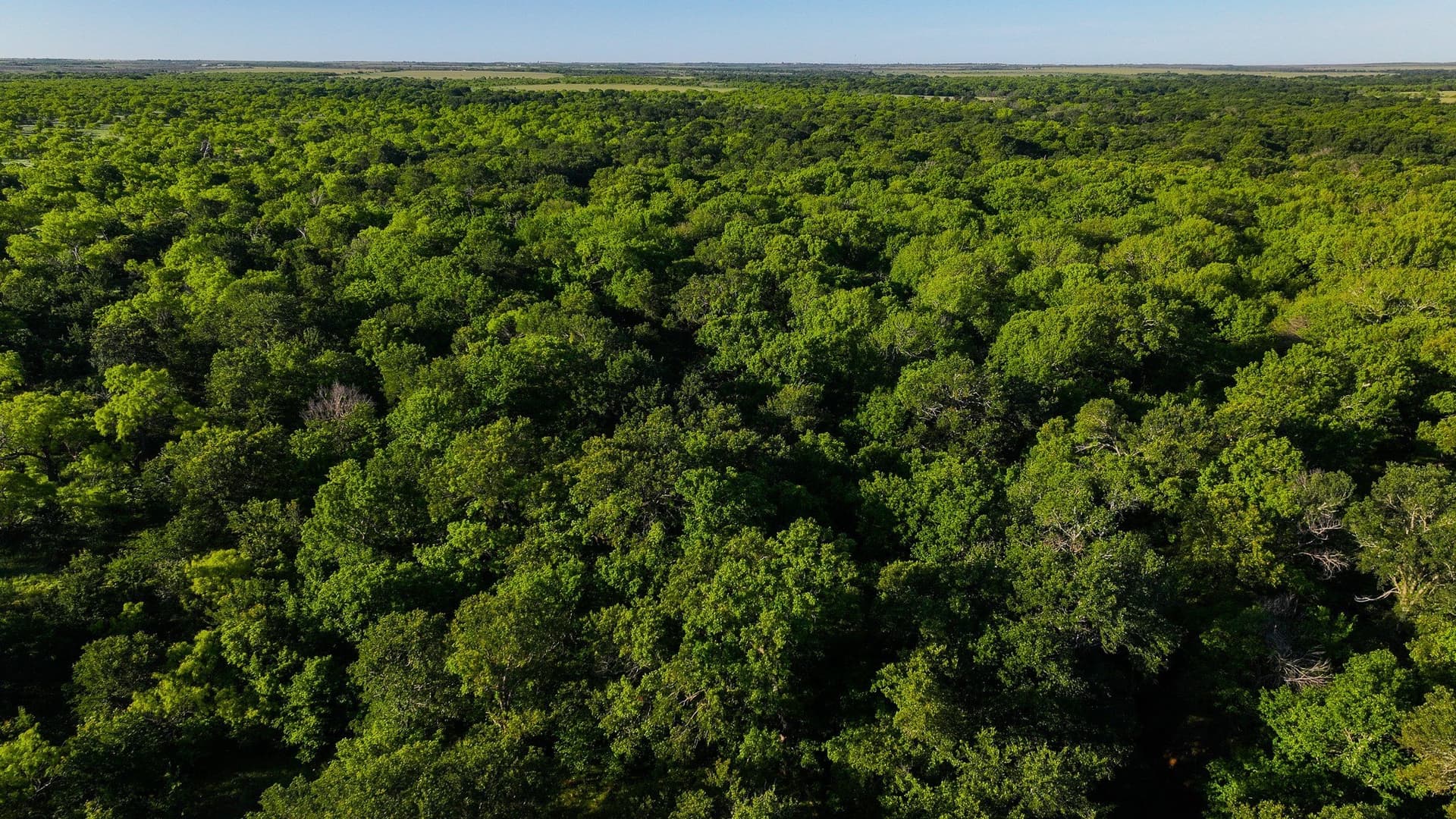 355 acres in Archer County - photo 35
