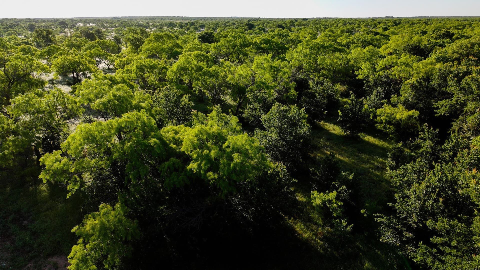 355 acres in Archer County - photo 6