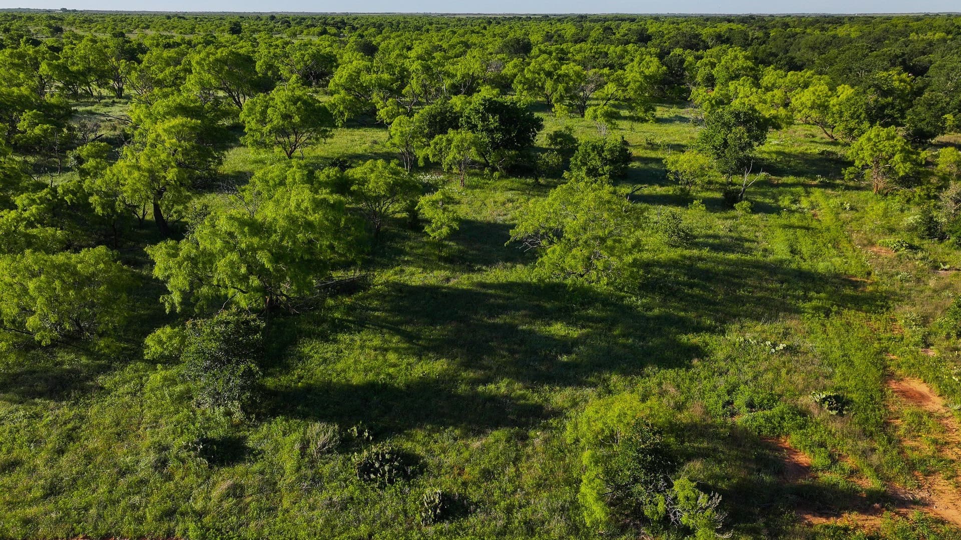 355 acres in Archer County - photo 16