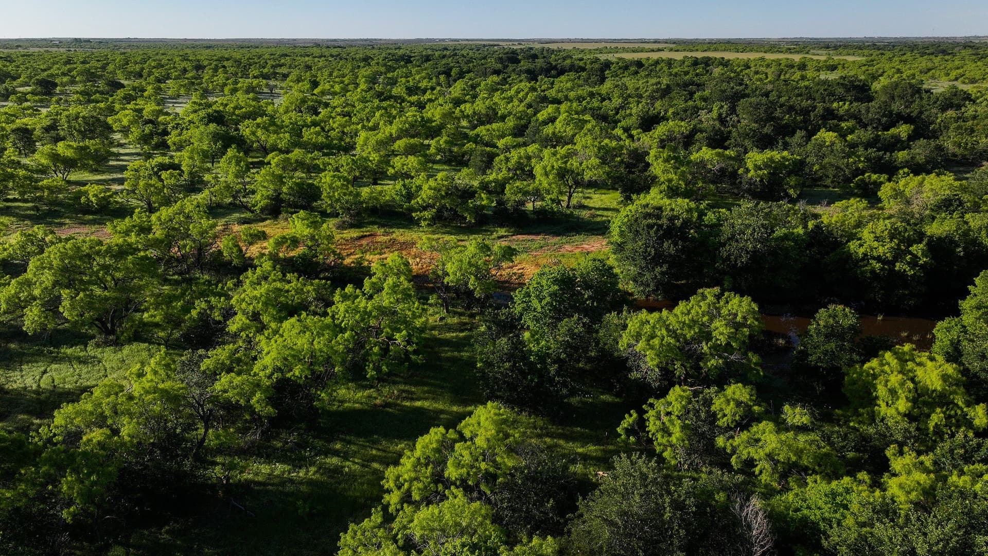 355 acres in Archer County - photo 36