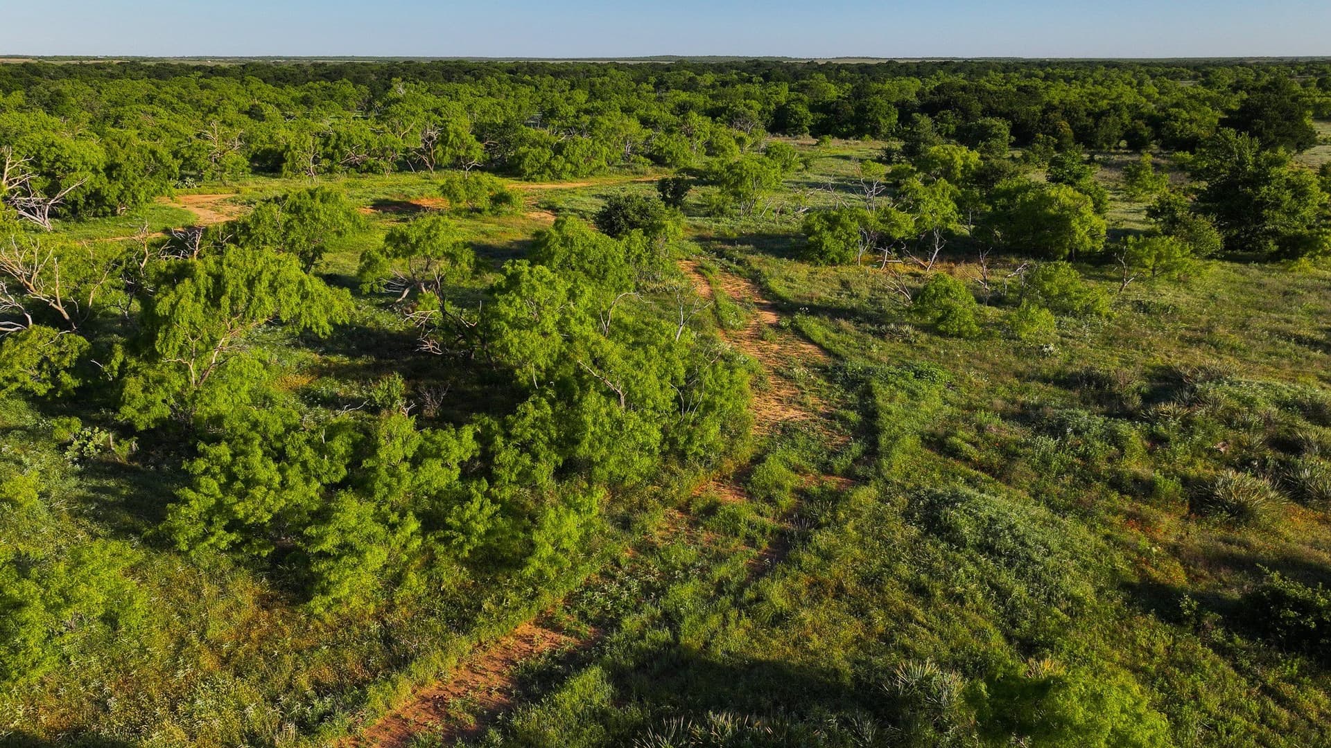 355 acres in Archer County - photo 22