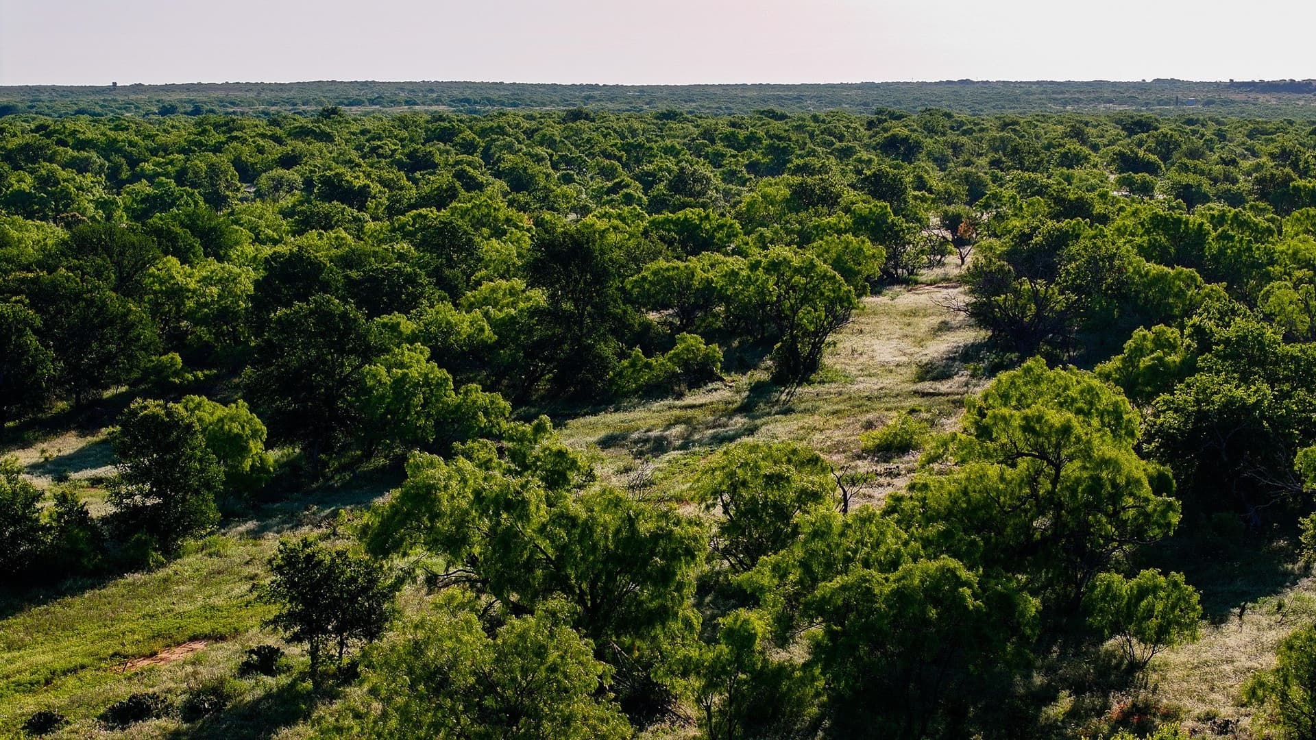355 acres in Archer County - photo 33