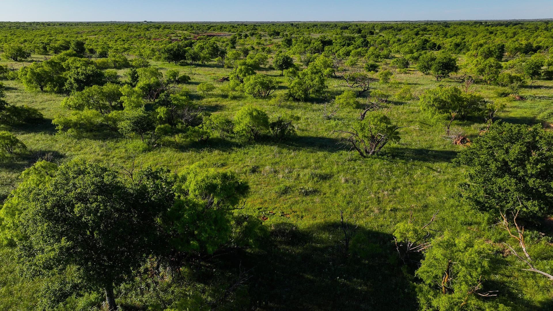 355 acres in Archer County - photo 3