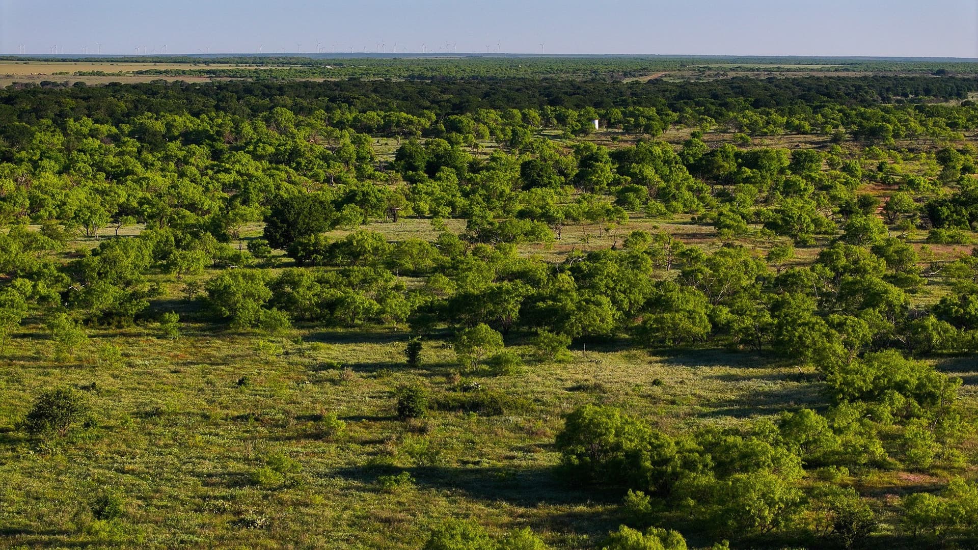 355 acres in Archer County - photo 27