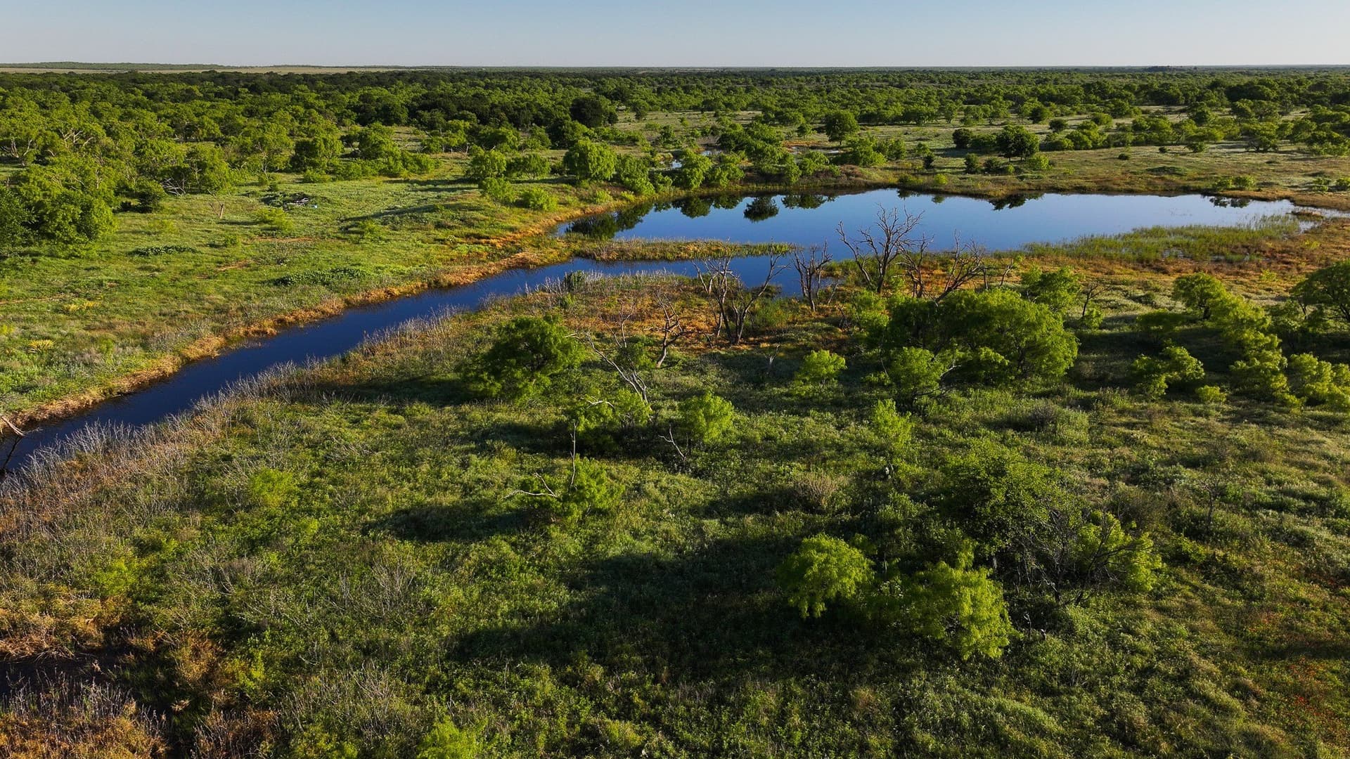355 acres in Archer County - photo 9