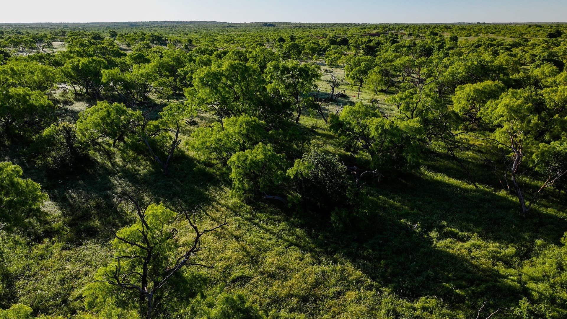 355 acres in Archer County - photo 23