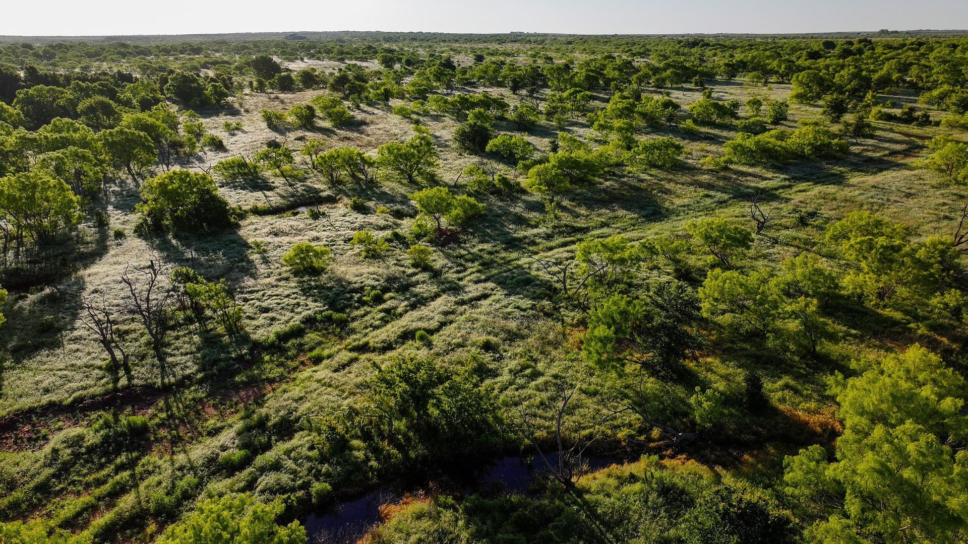 355 acres in Archer County - photo 12