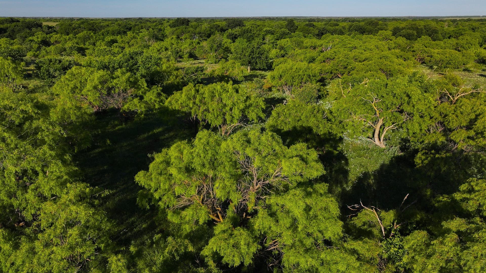 355 acres in Archer County - photo 25