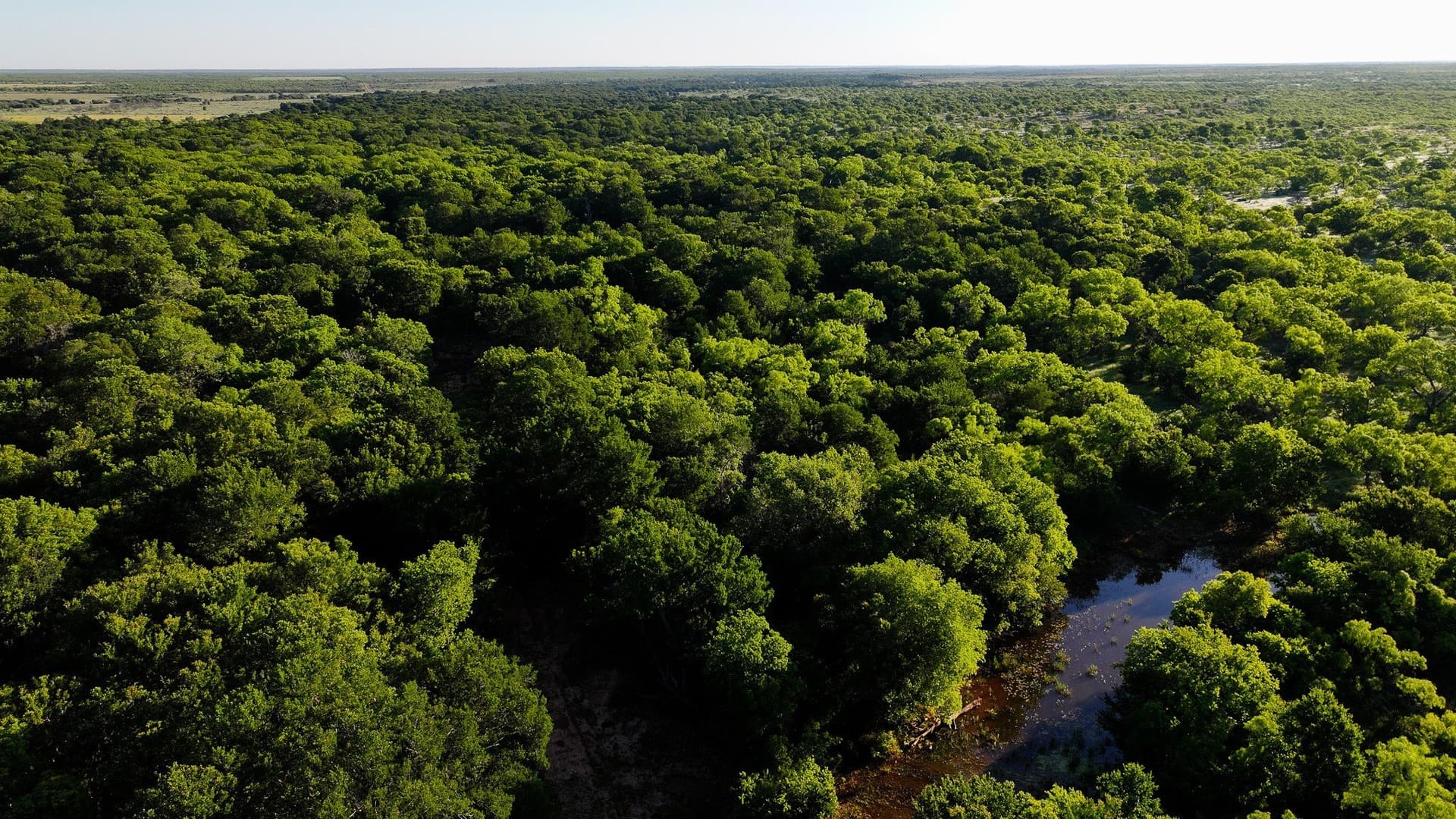 355 acres in Archer County - photo 4