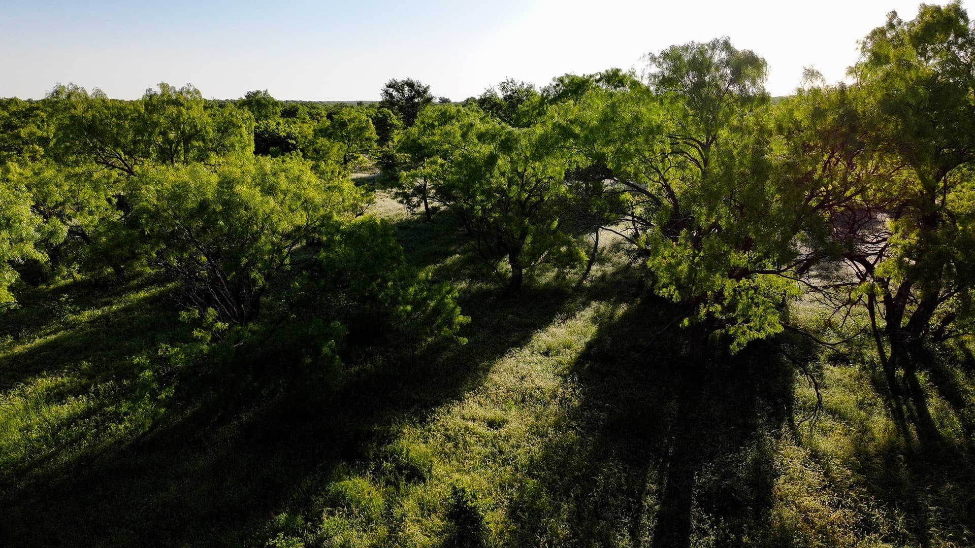 355 acres in Archer County - photo 11