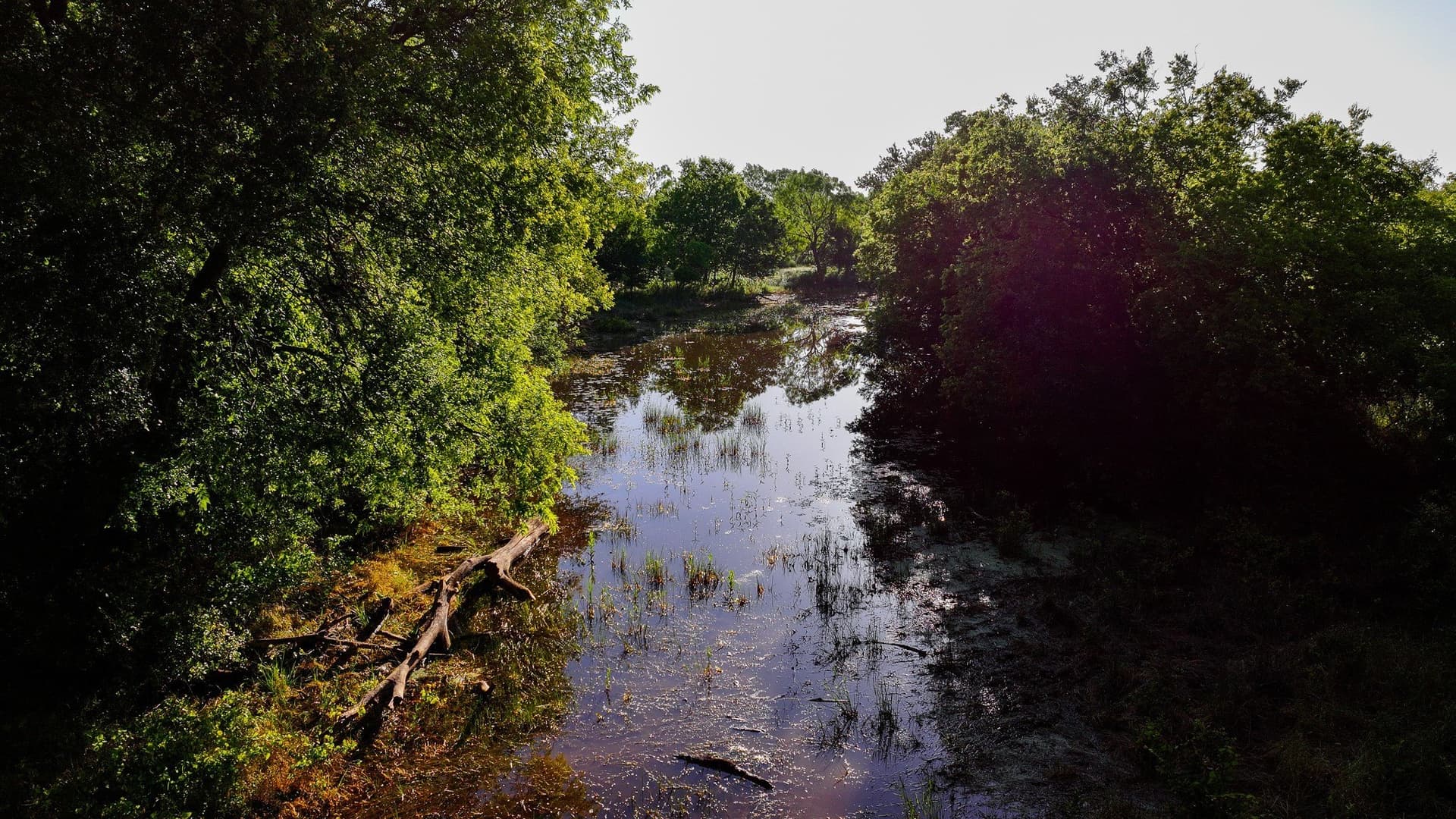 355 acres in Archer County - photo 15