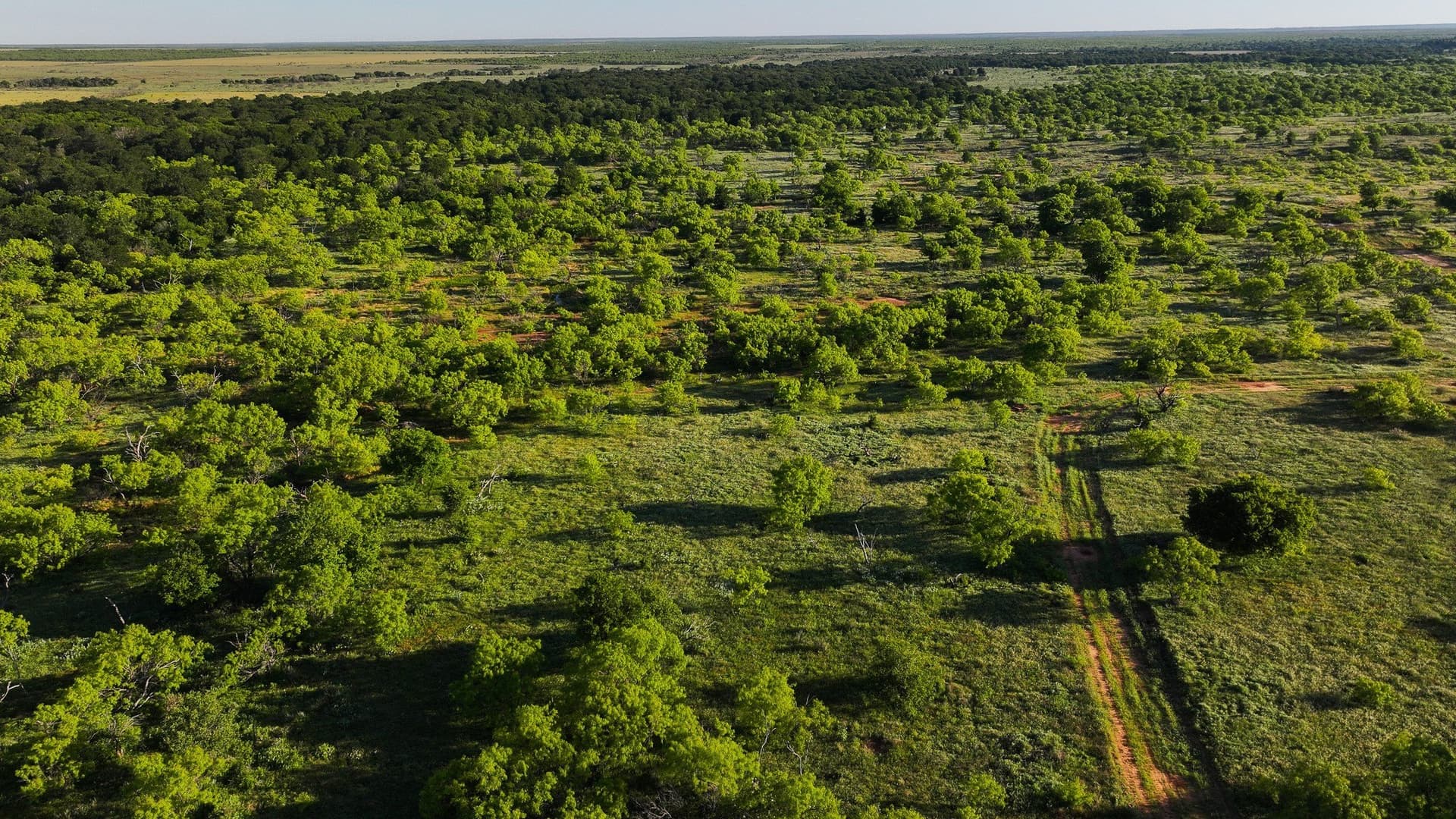 355 acres in Archer County - photo 29