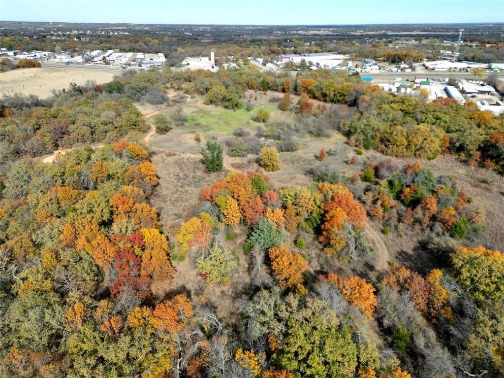 23.66 acres in Parker County gallery image 4
