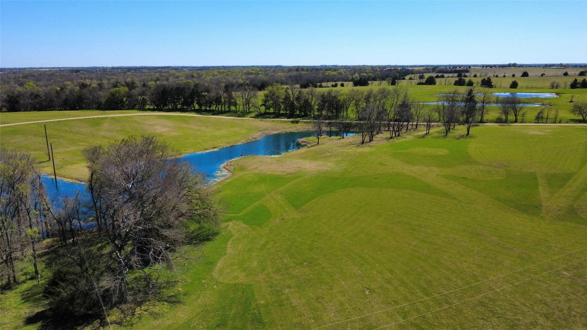 25.03 acres in Fannin County featured view