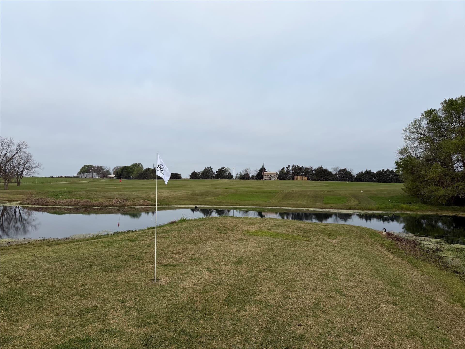 25.03 acres in Fannin County - photo 38