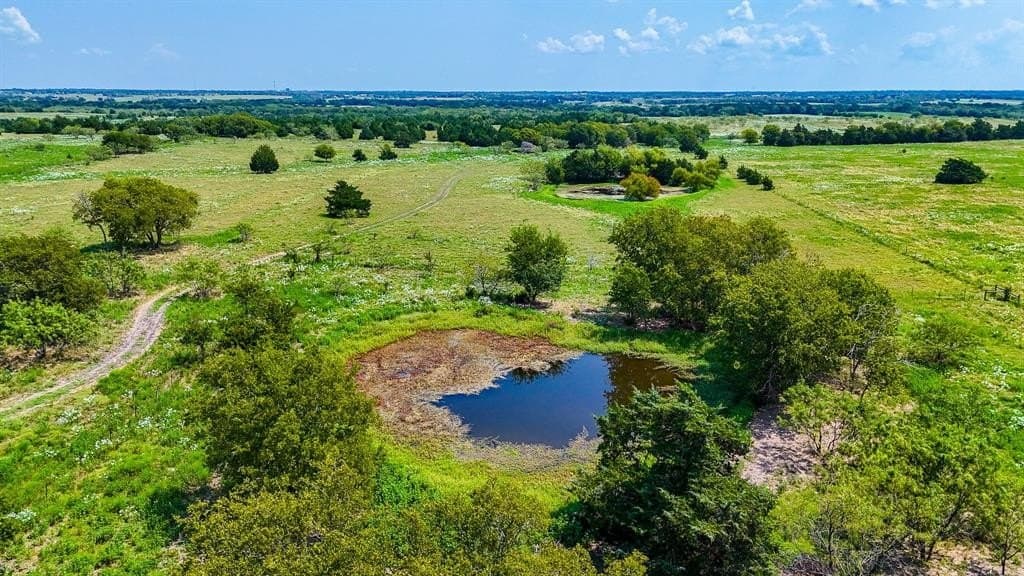 50.72 acres in Navarro County gallery image 2