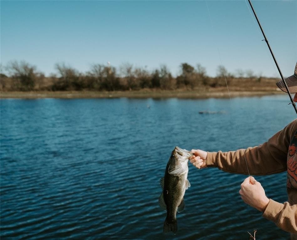 10.45 acres in Ellis County gallery image 2