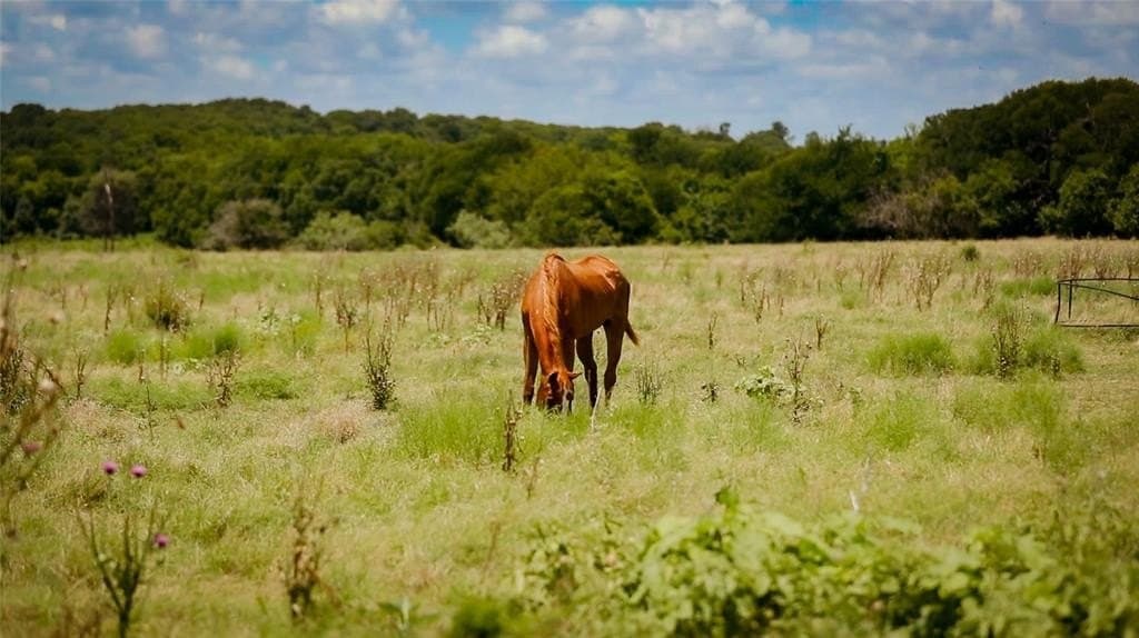 10.45 acres in Ellis County