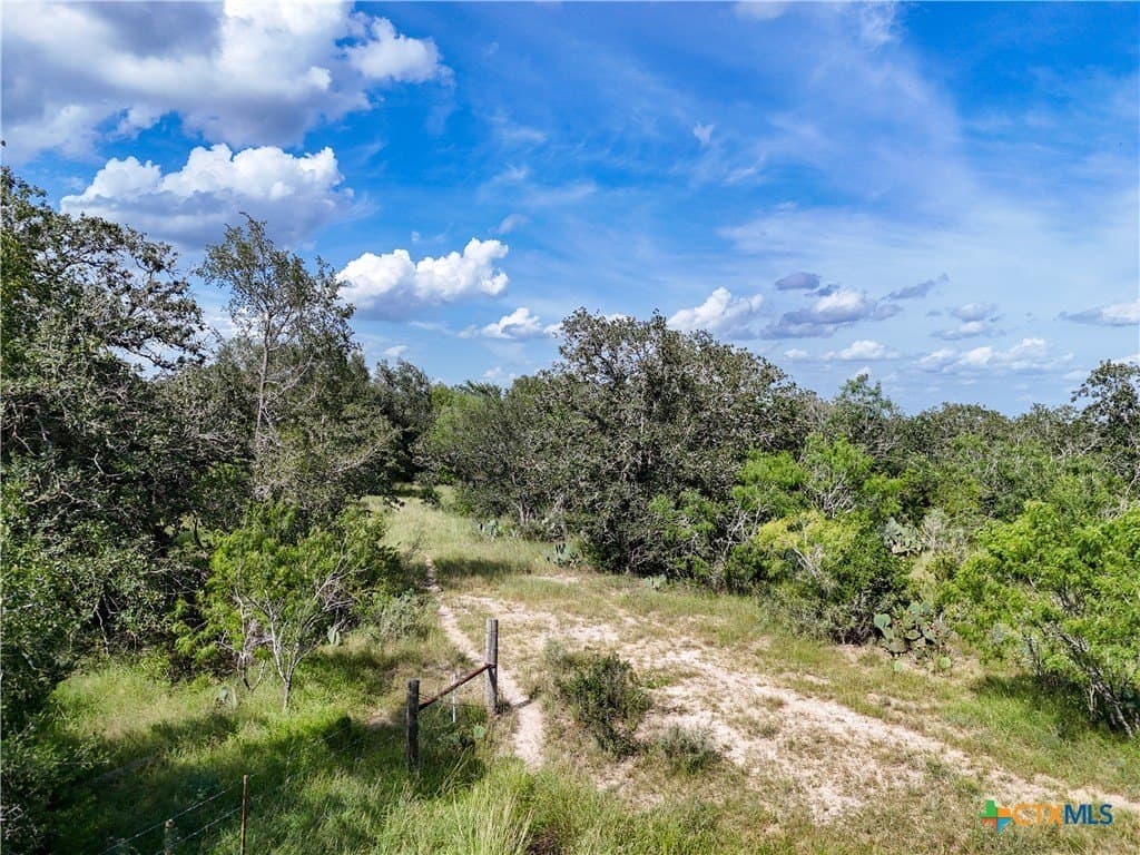 23.07 acres in Gonzales County featured view