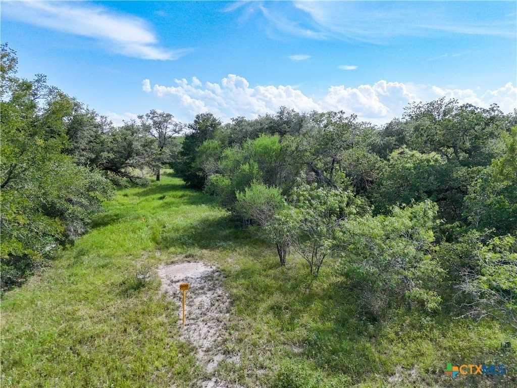 23.07 acres in Gonzales County gallery image 4