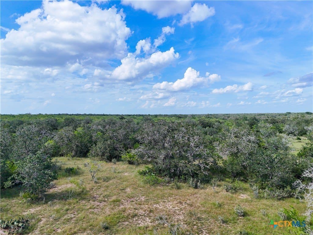 23.07 acres in Gonzales County gallery image 3