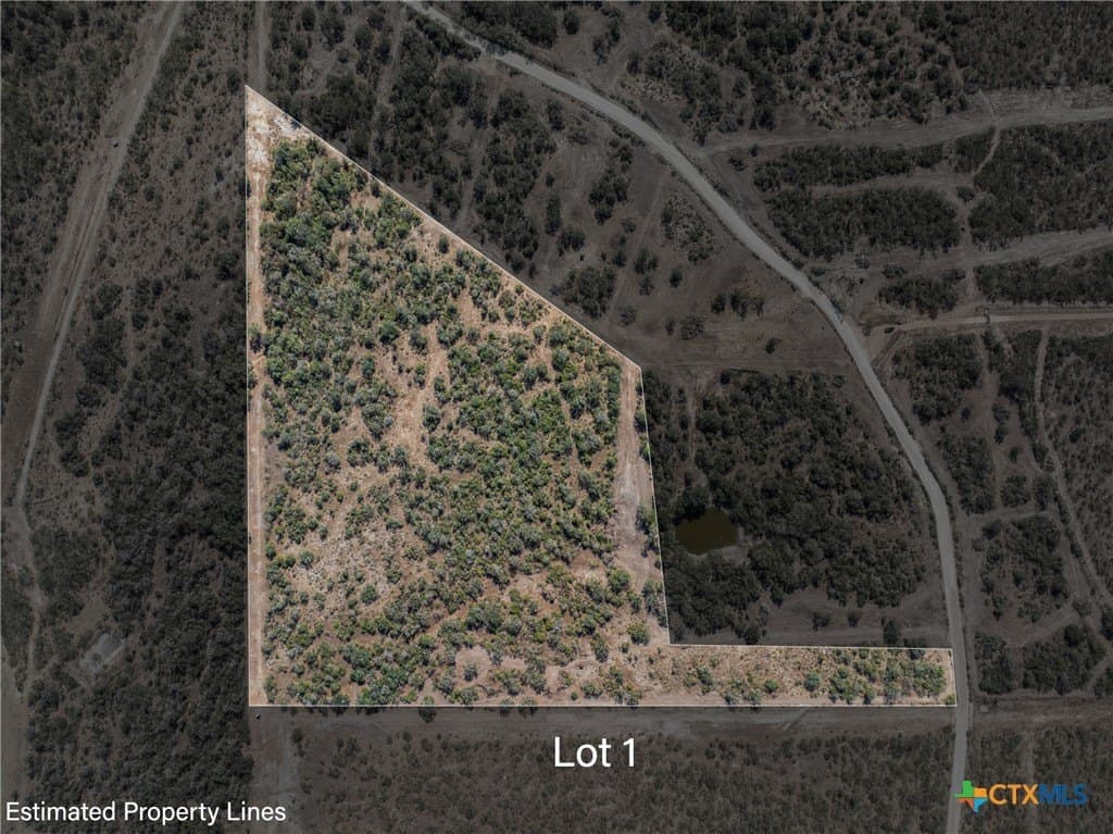 23.07 acres in Gonzales County gallery image 2