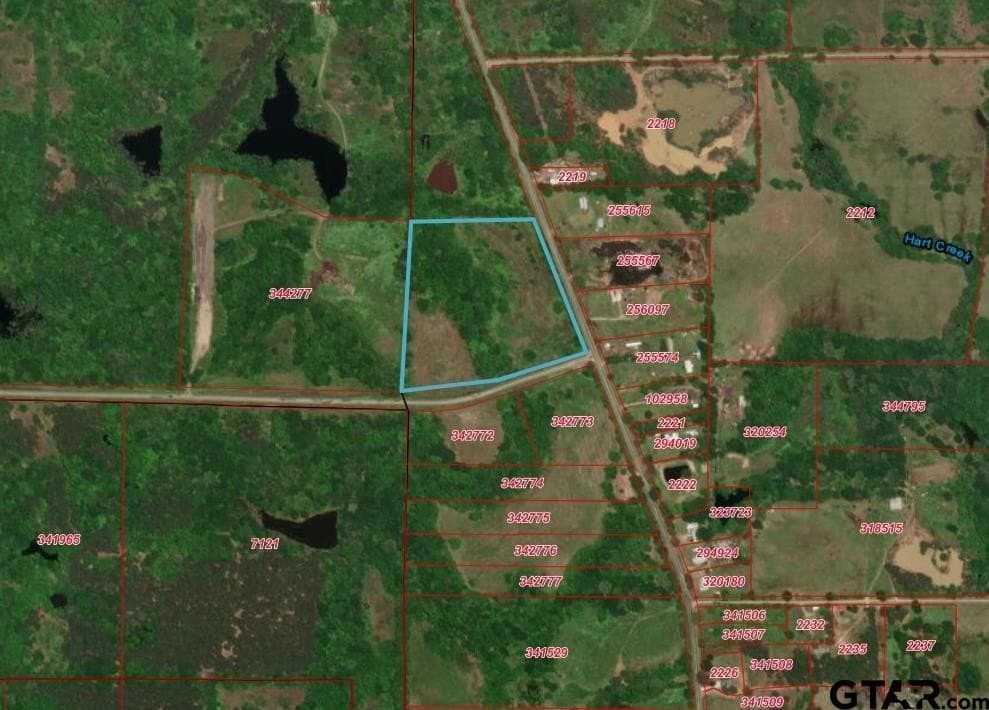 17.7 acres in Titus County gallery image 4