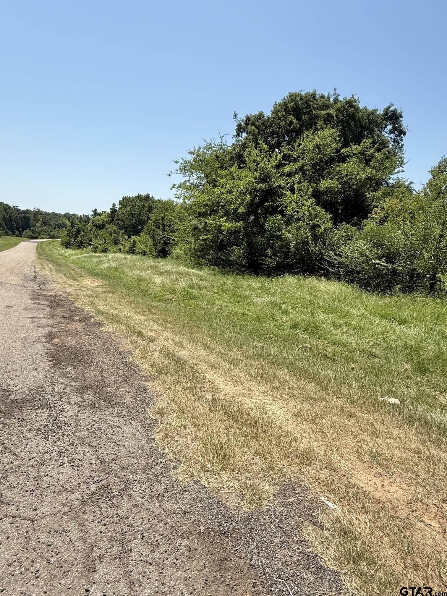 17.7 acres in Titus County gallery image 3