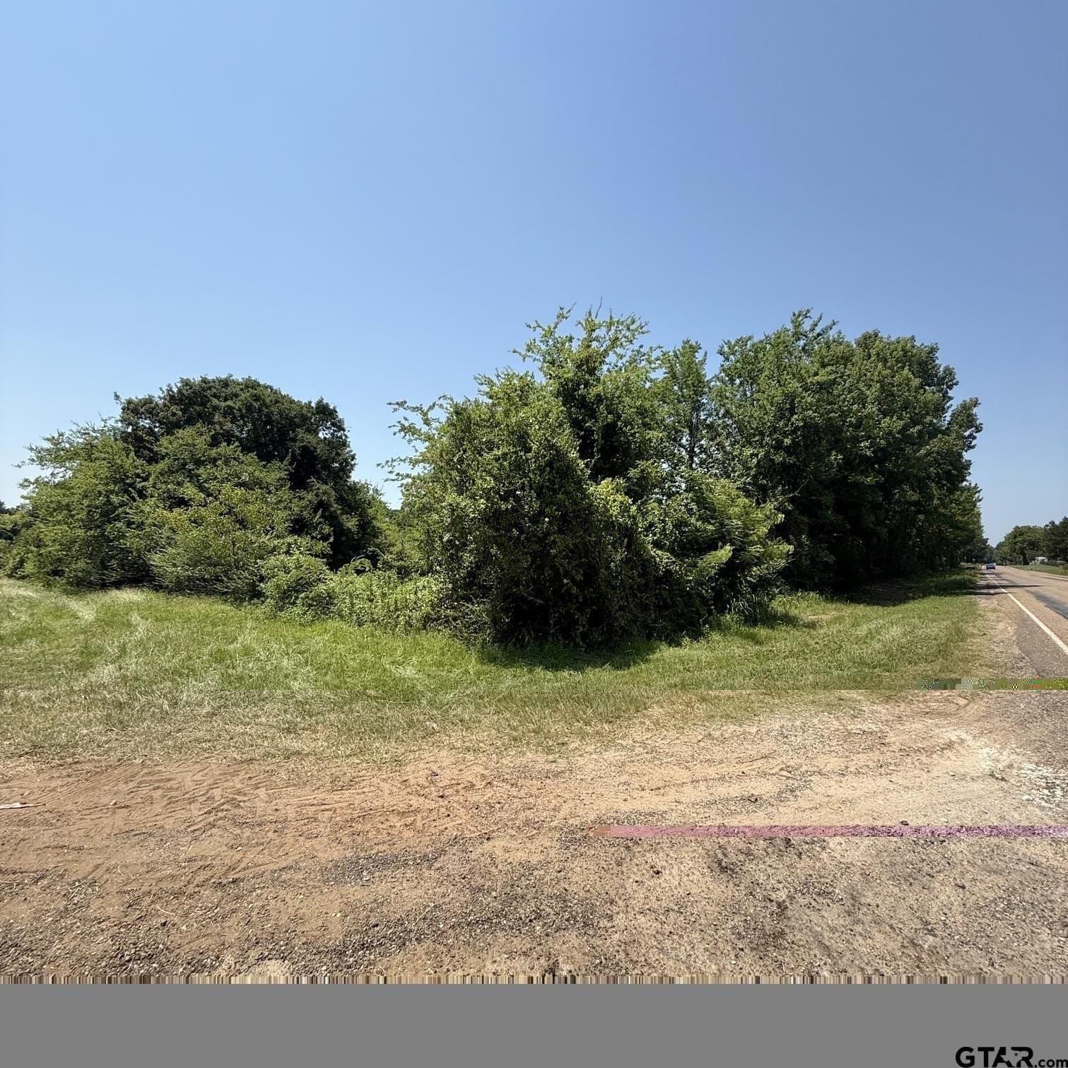 17.7 acres in Titus County gallery image 2