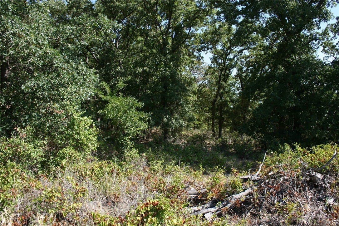 70 acres in Parker County - photo 18