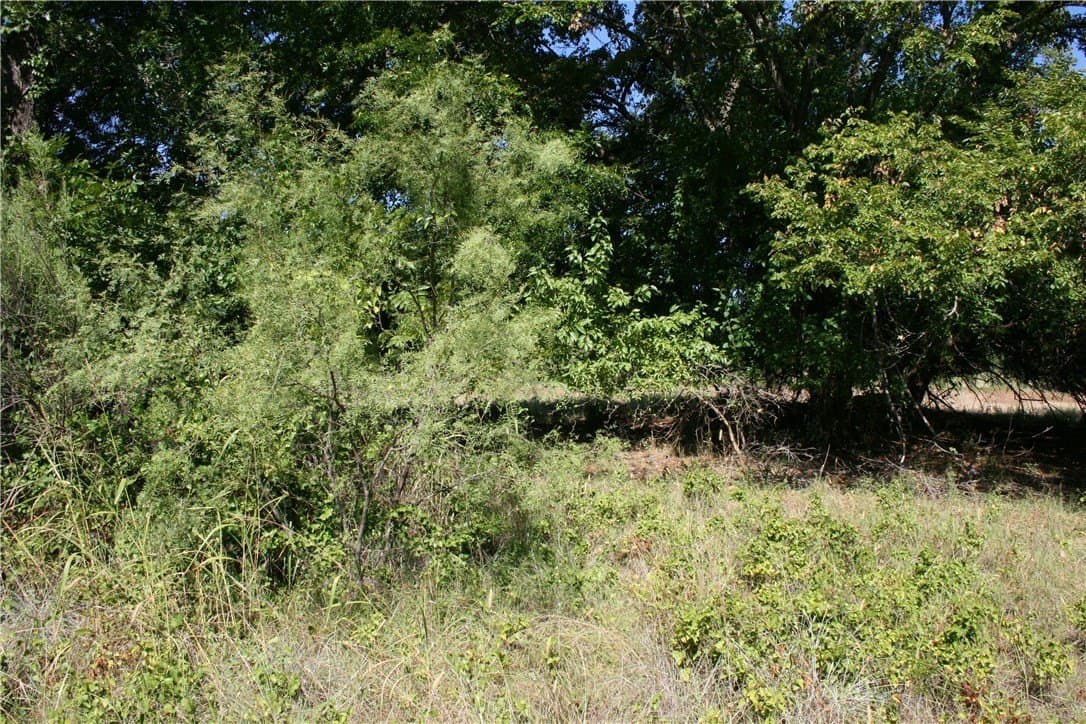 70 acres in Parker County - photo 15