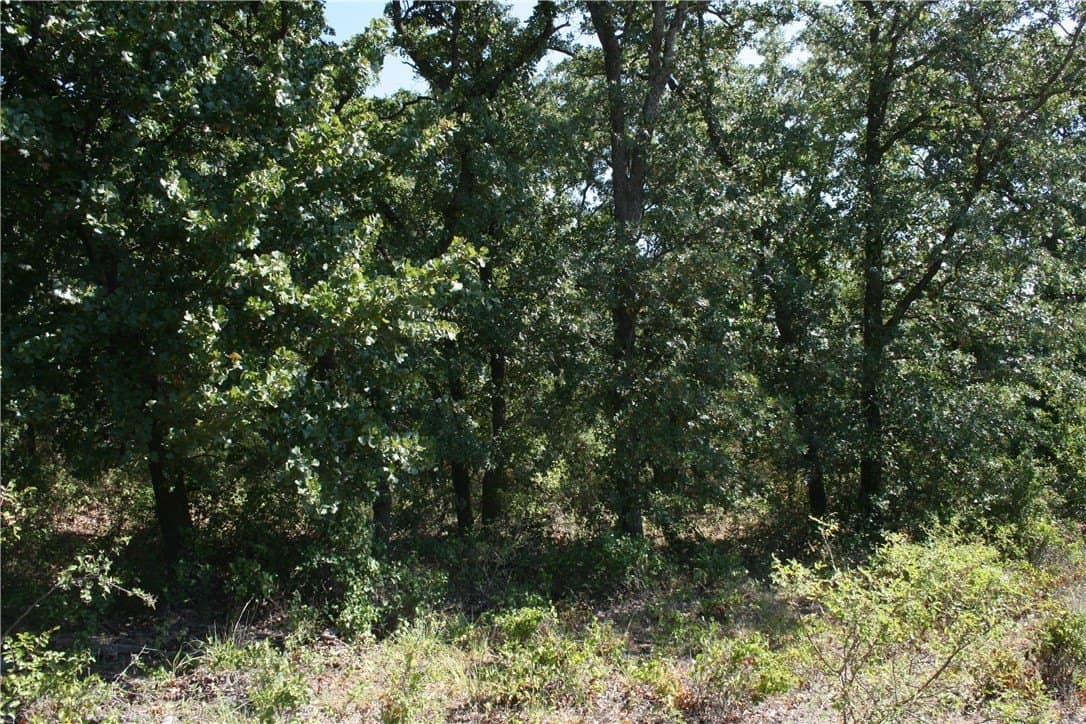70 acres in Parker County - photo 19