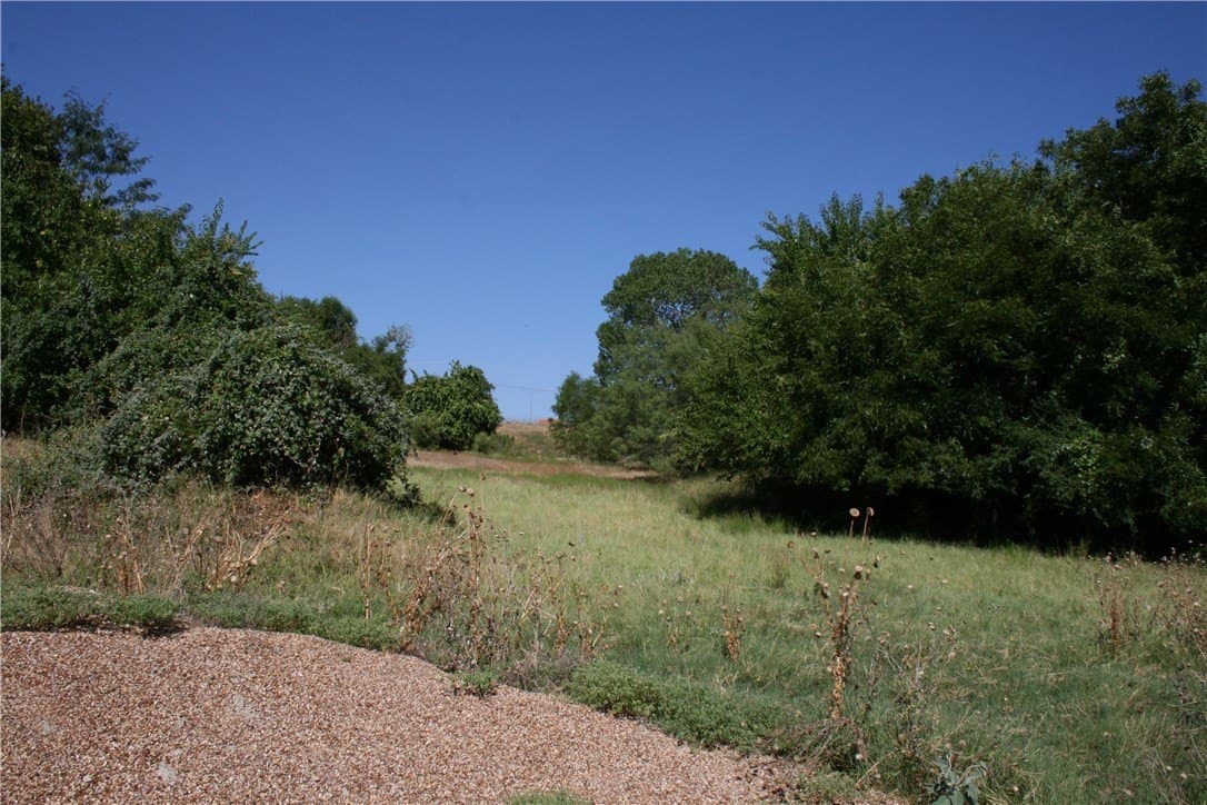 70 acres in Parker County - photo 16