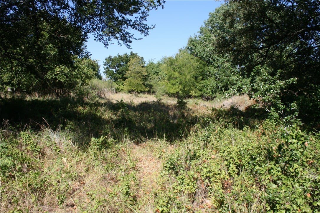 70 acres in Parker County - photo 14