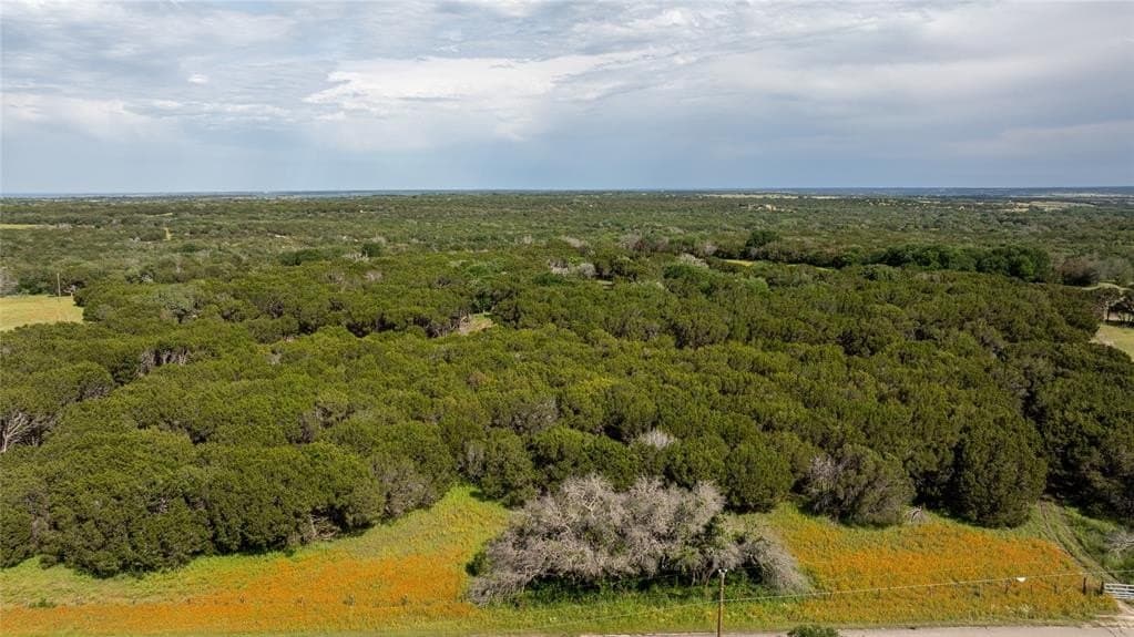 10.49 acres in Somervell County gallery image 3