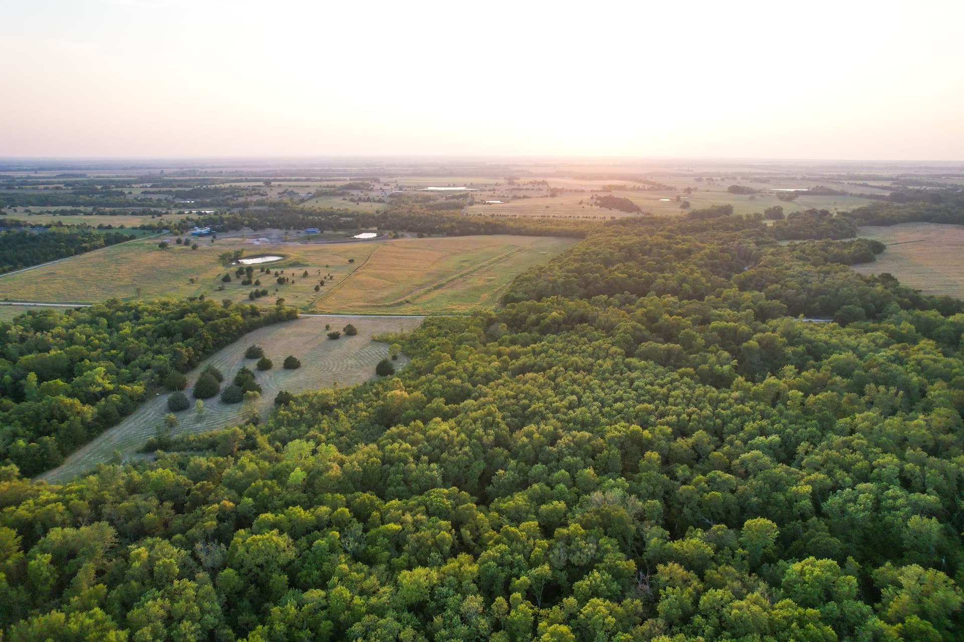 40.43 acres in Fannin County - photo 13