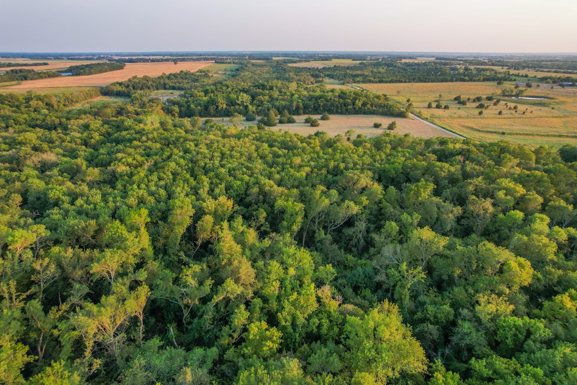 40.43 acres in Fannin County - photo 9