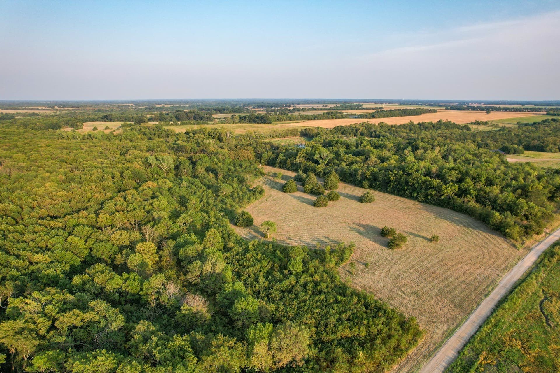 40.43 acres in Fannin County - photo 7
