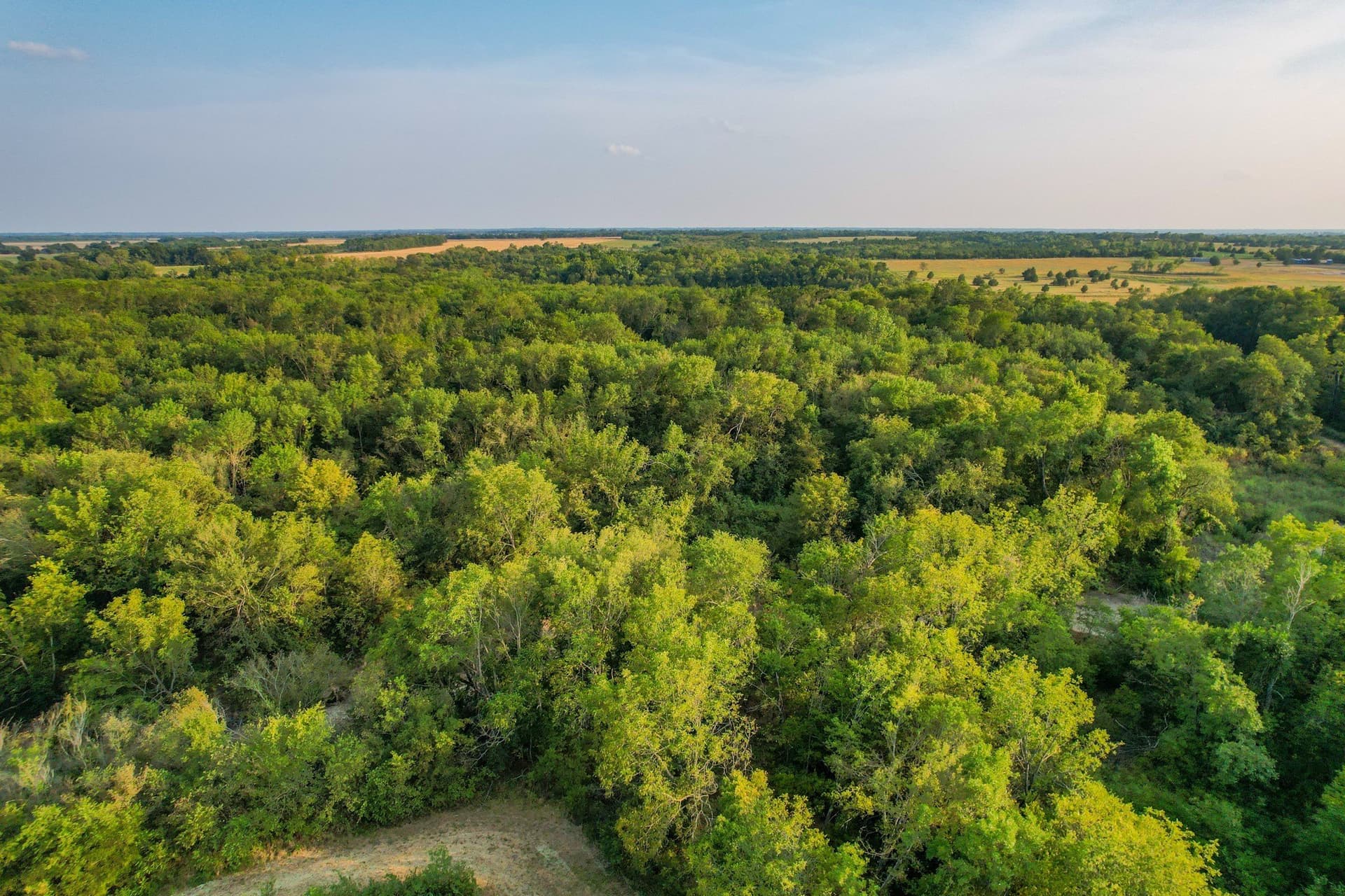 40.43 acres in Fannin County featured view