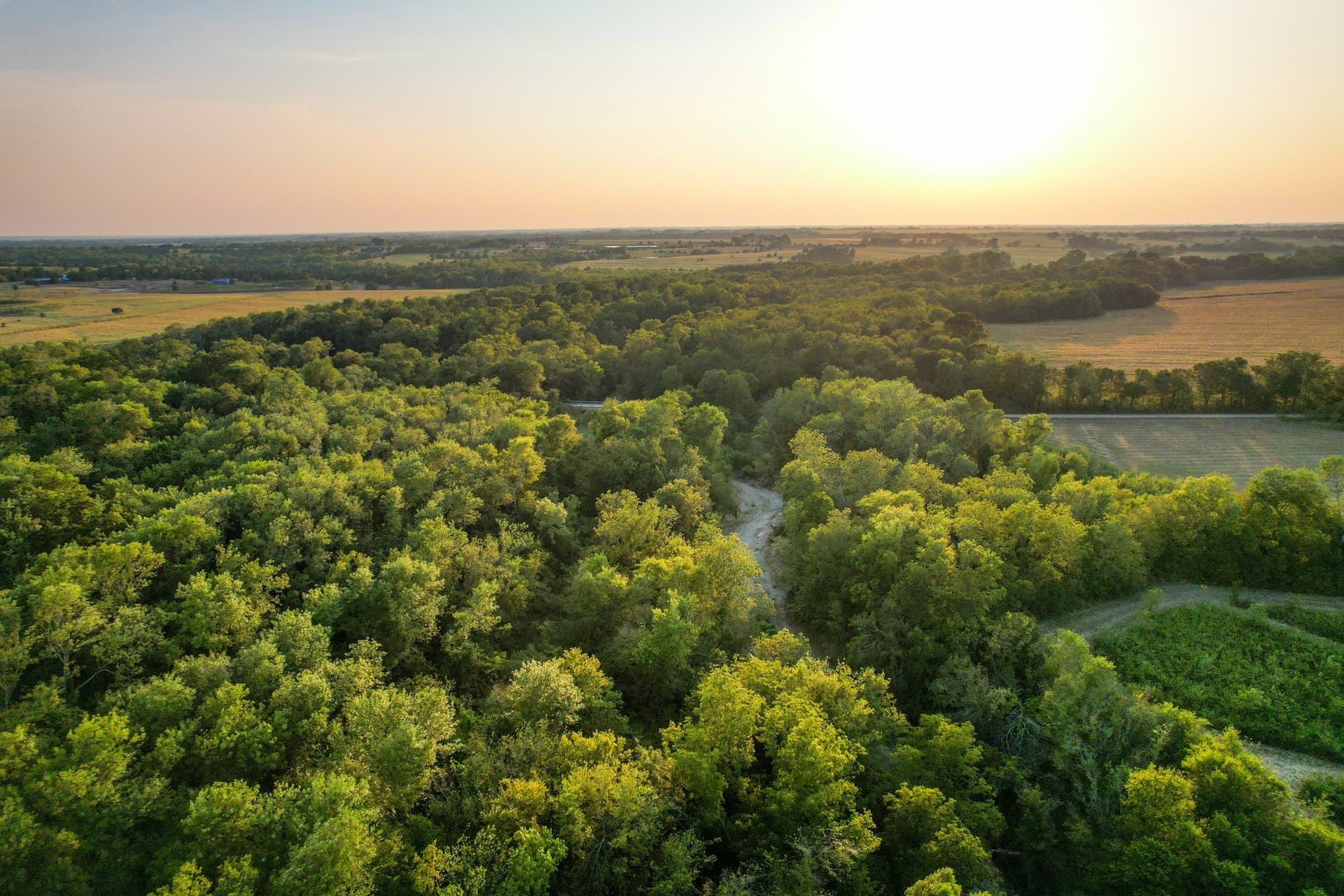 40.43 acres in Fannin County - photo 8